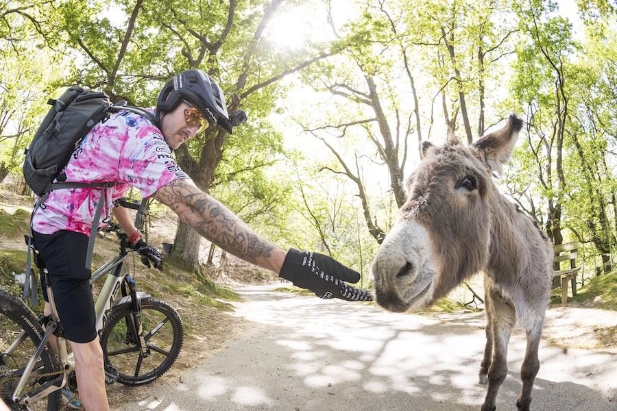 Mountain Bike en Zugarramurdi